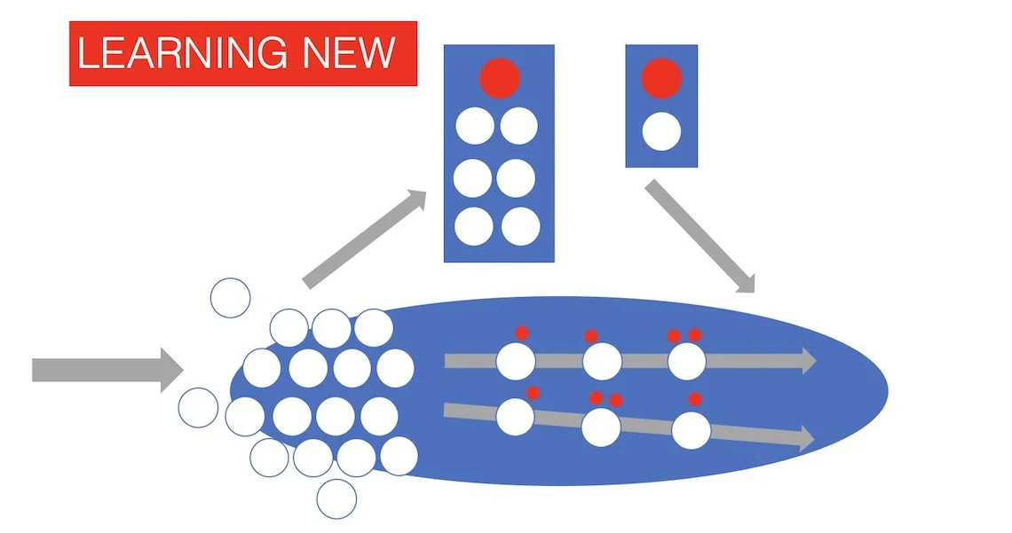FIG 5: The personalisation of learning: Micro learning: small learning interventions provided in the flow of work. Macro learning: learning something new, in the classroom or in another way (Source: Tom Haak)