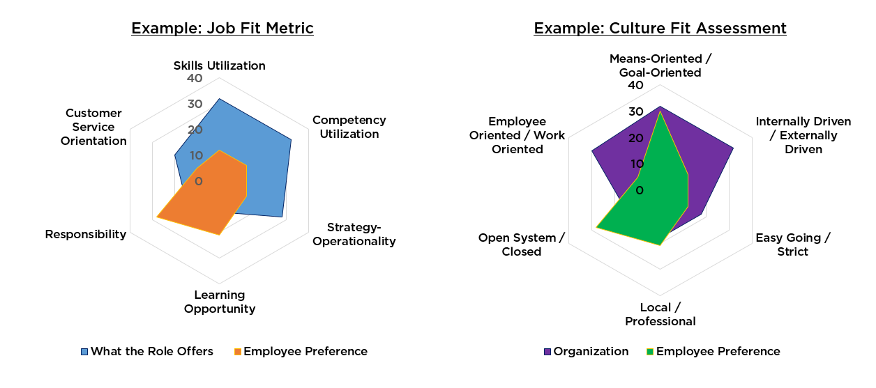 FIG 6: Examples of Job and Culture Fit (Source: Ridwan Ismeer)