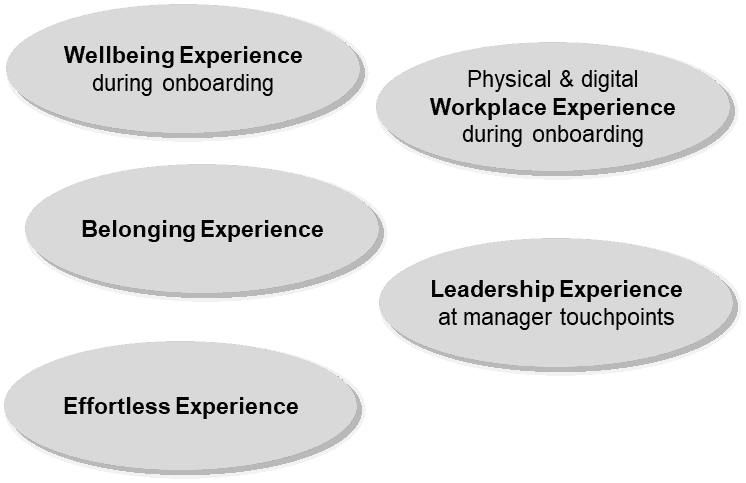  The Experience Clusters 