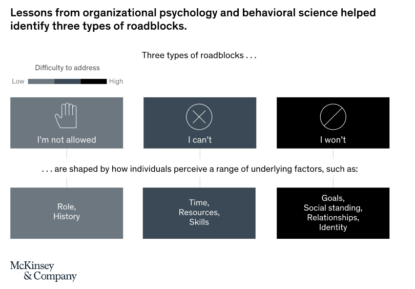 FIG 9: Lessons from organisational psychology and behavioural science helped identify three types of roadblocks (Source: McKinsey)