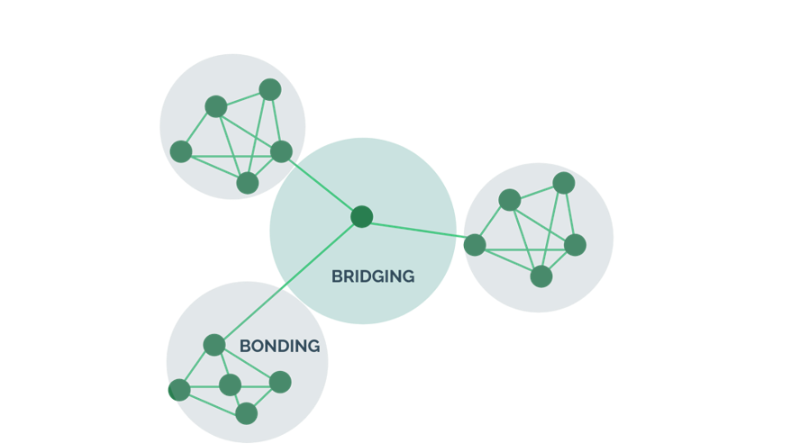  Bridging versus bonding social capital 