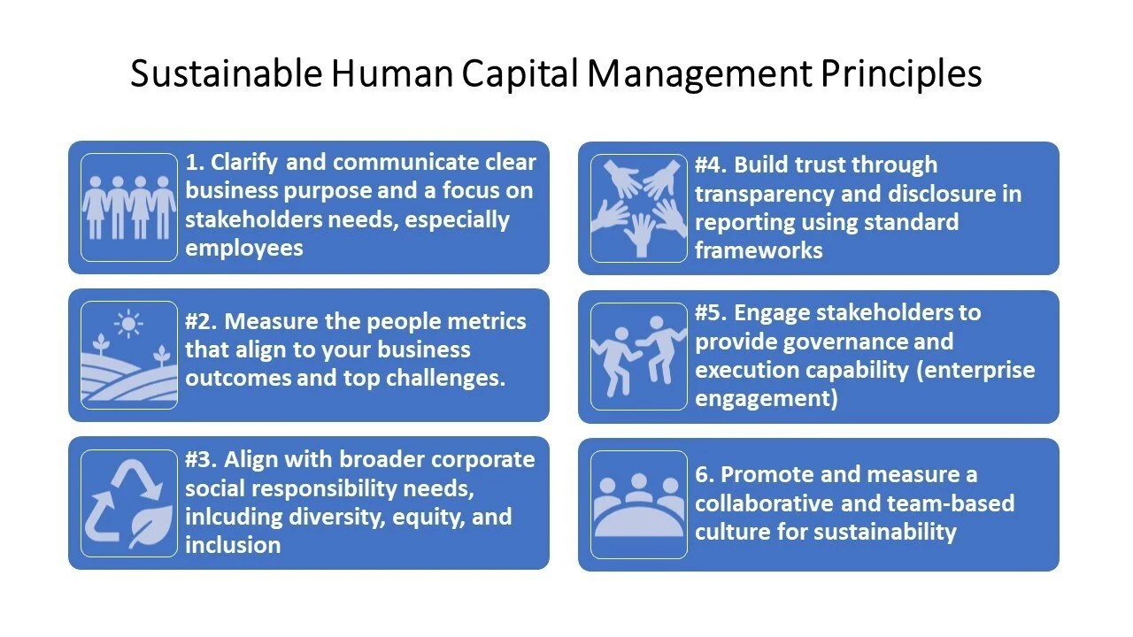 FIG 8: Six principles of sustainable human capital management (Source: Amy Armitage)