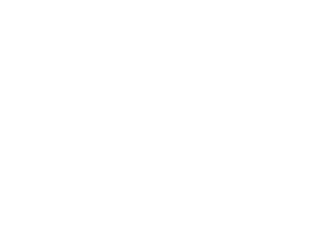 Silvitni logo