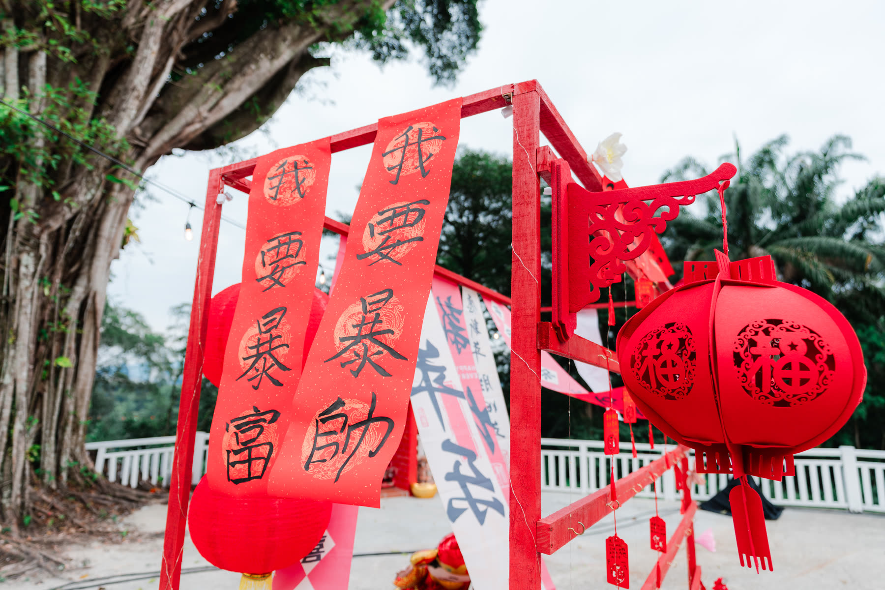 Wishes under the lanterns