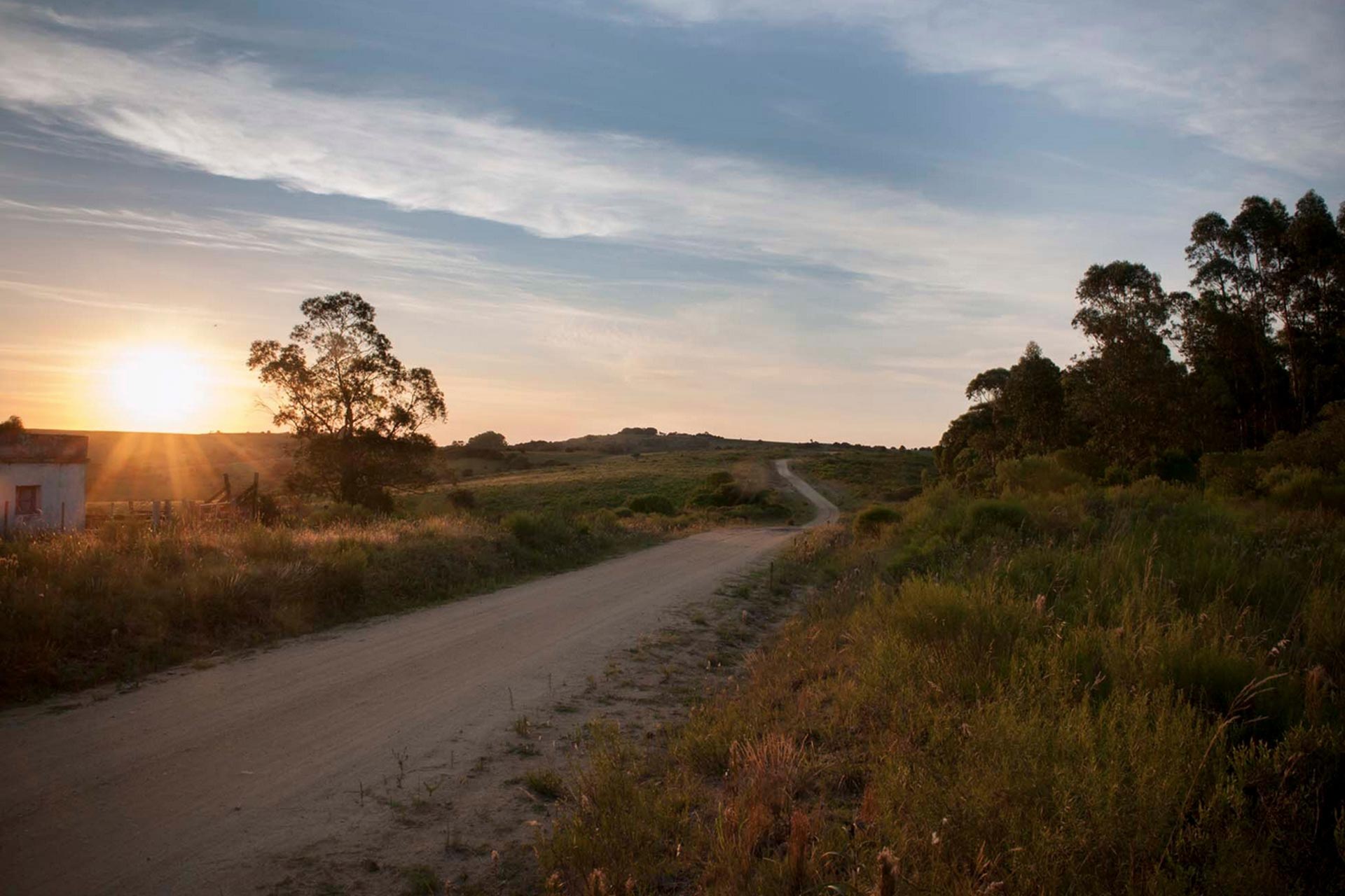 El Pueblo - Restaurante Garzón 4