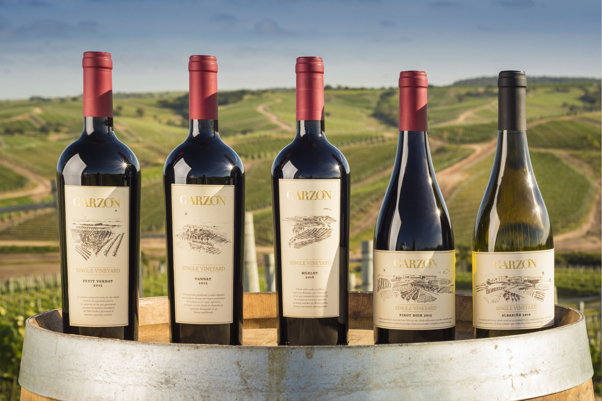Los Vinos