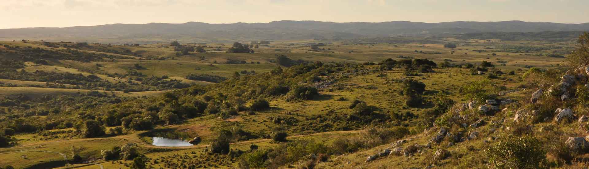 El Pueblo