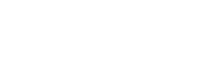 LOGO ANDINO
