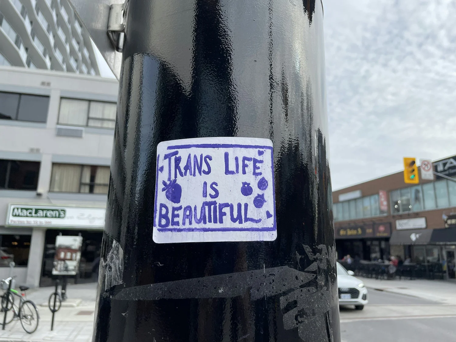 Handwritten sticker reading Trans life is beautiful on a black pole at a city street corner