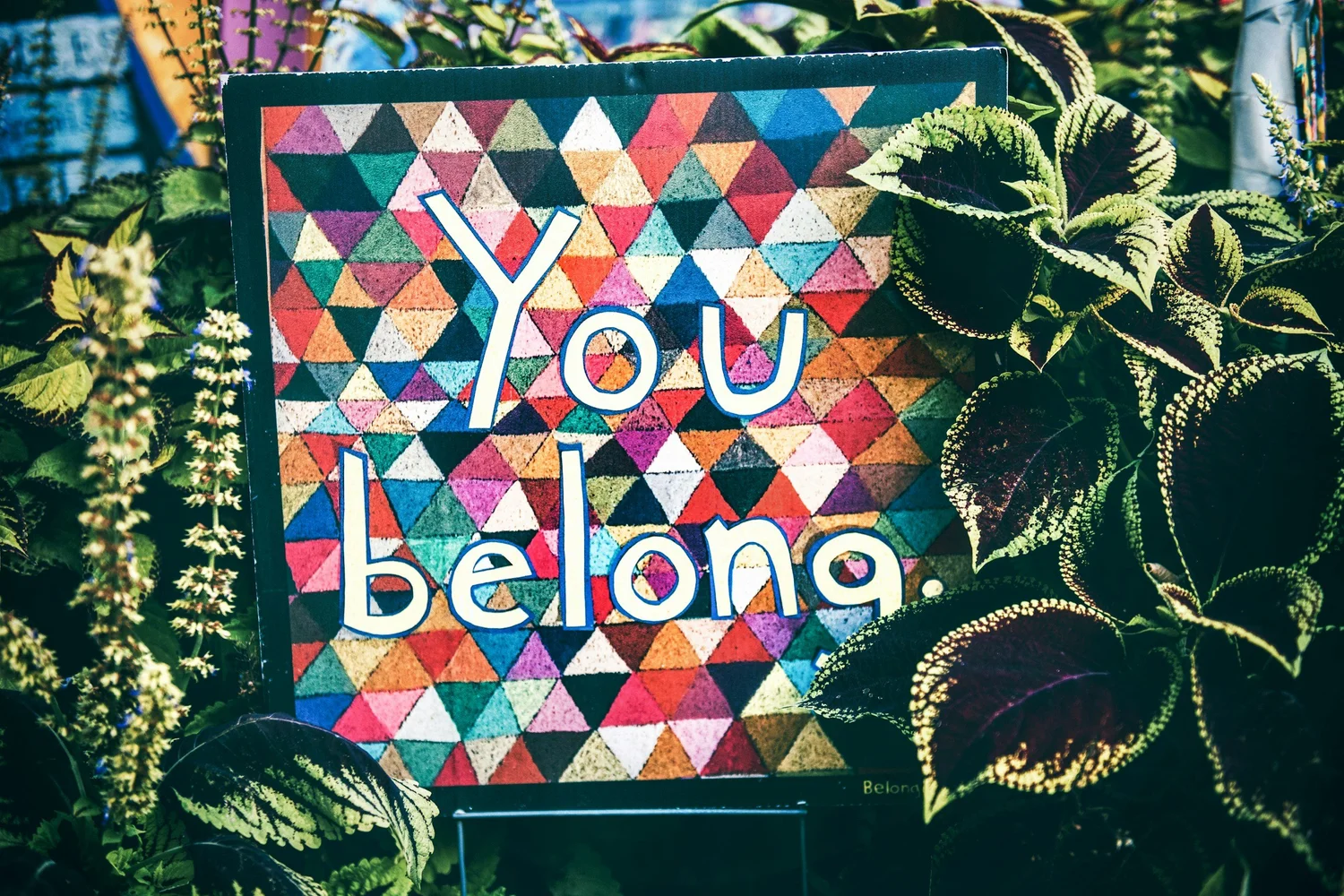 Sign with a multicolored triangle pattern reading "You belong" surrounded by leafy plants