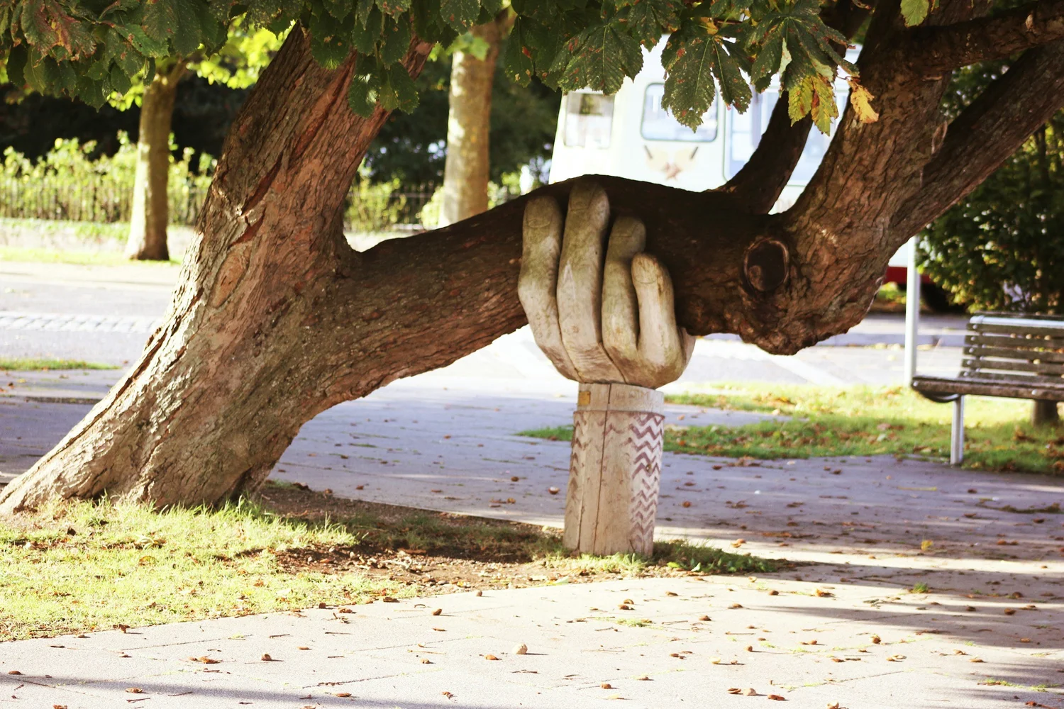 A long tree branch resting on a carved wooden hand sculpture in a park beside a path and bench