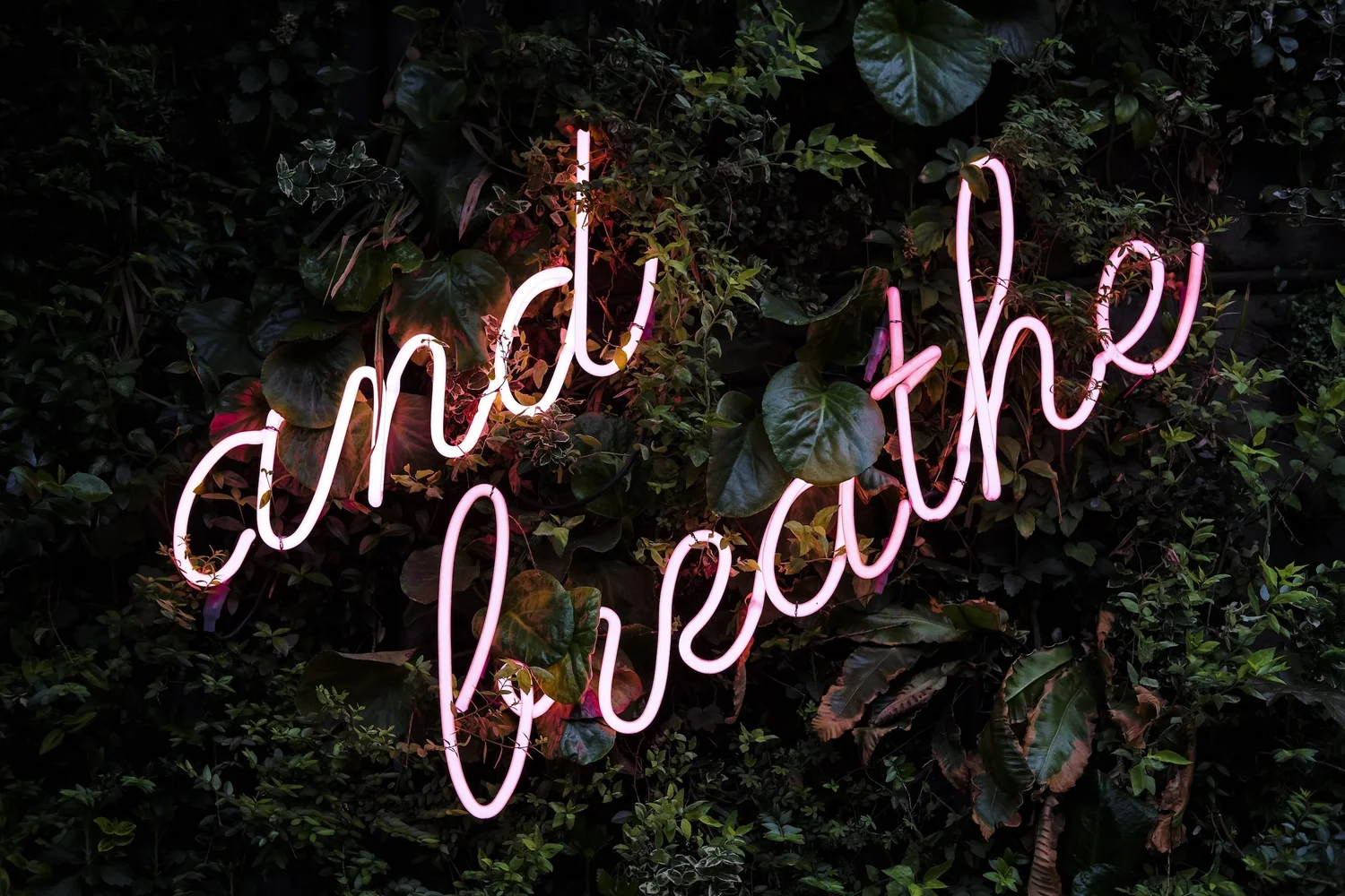 Pink neon script reading "and breathe" on a wall of dense green leaves