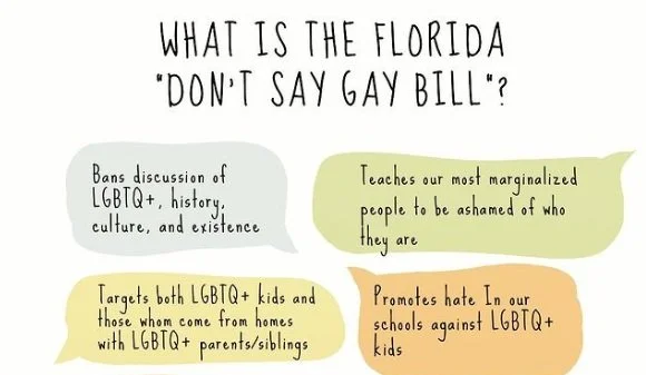 Text graphic headed "What is the Florida 'Don't Say Gay bill'?" above four pastel speech bubbles of text