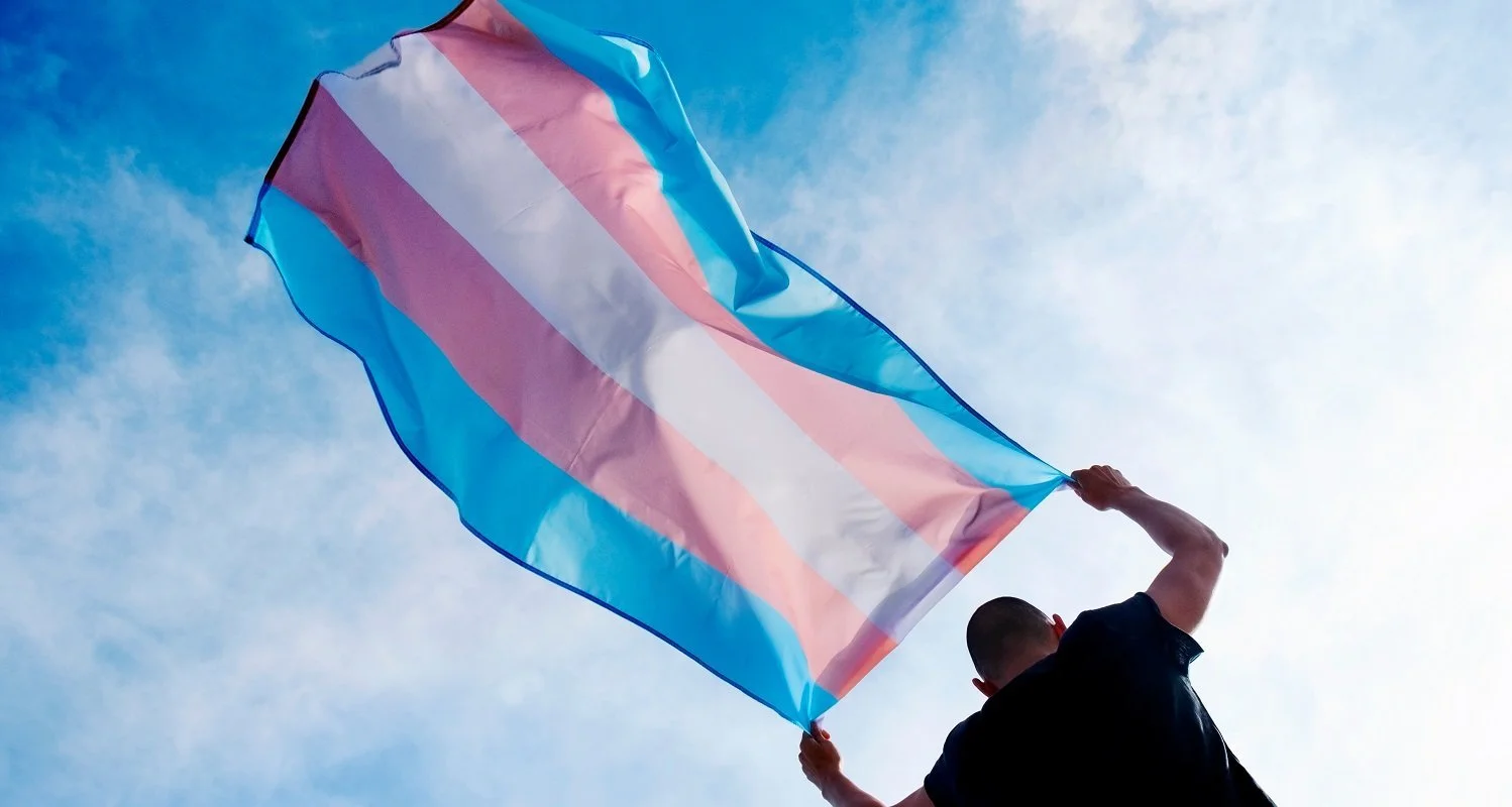 A person holds up a large light blue, pink and white striped transgender flag against a blue sky