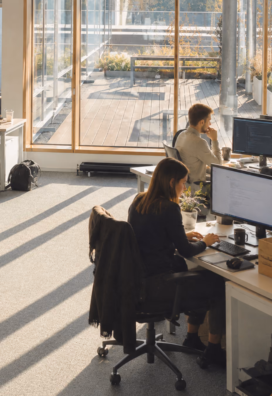 Professionals working beside a sunlit office window