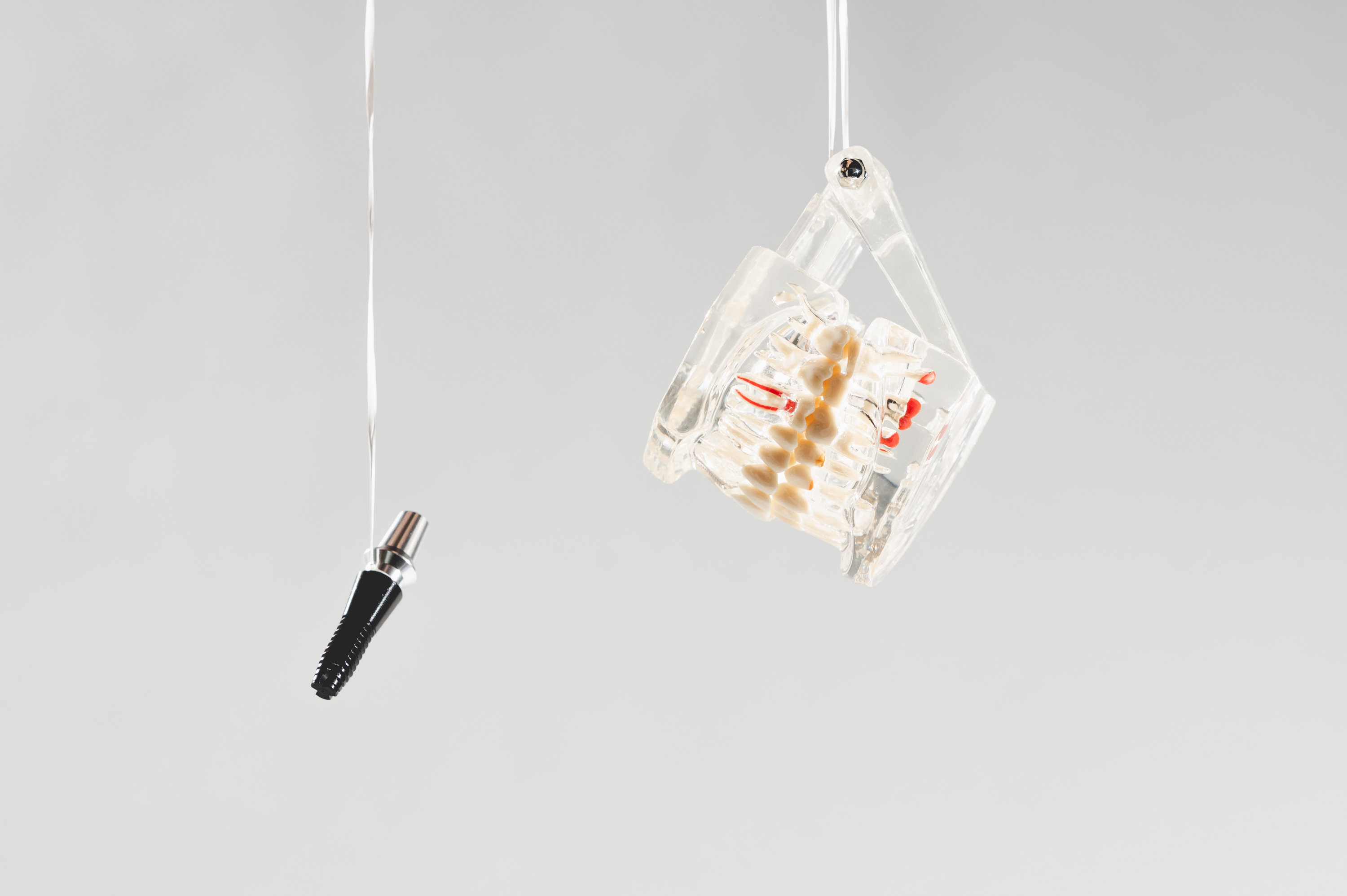 Dental model and dental implant with abutment