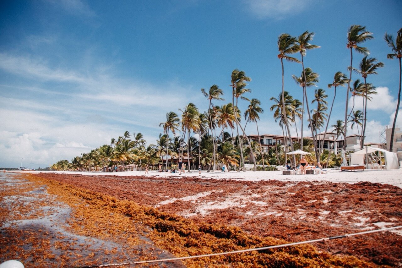 Een grootschalig water- en milieuproject in Cancún
