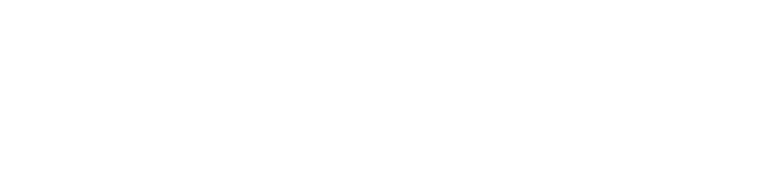 Family Wealth Report 26