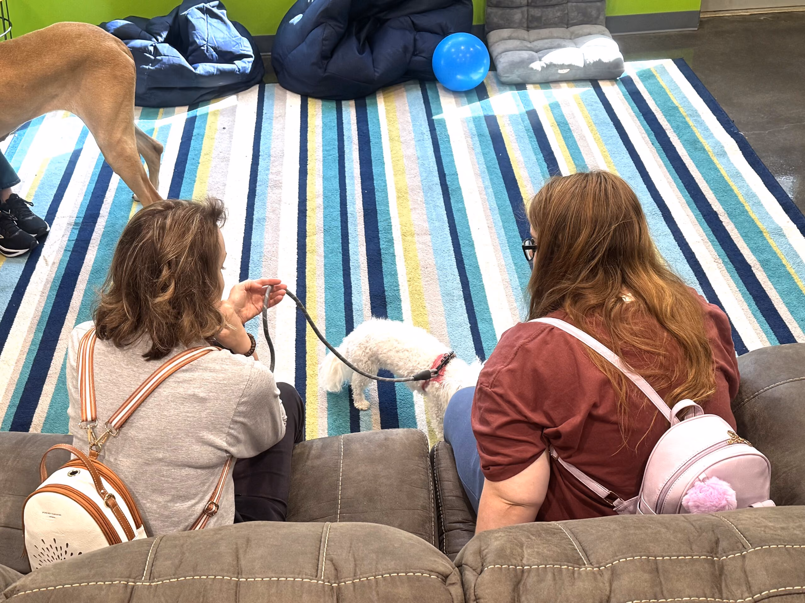 Pet therapy at Children's Attention Home