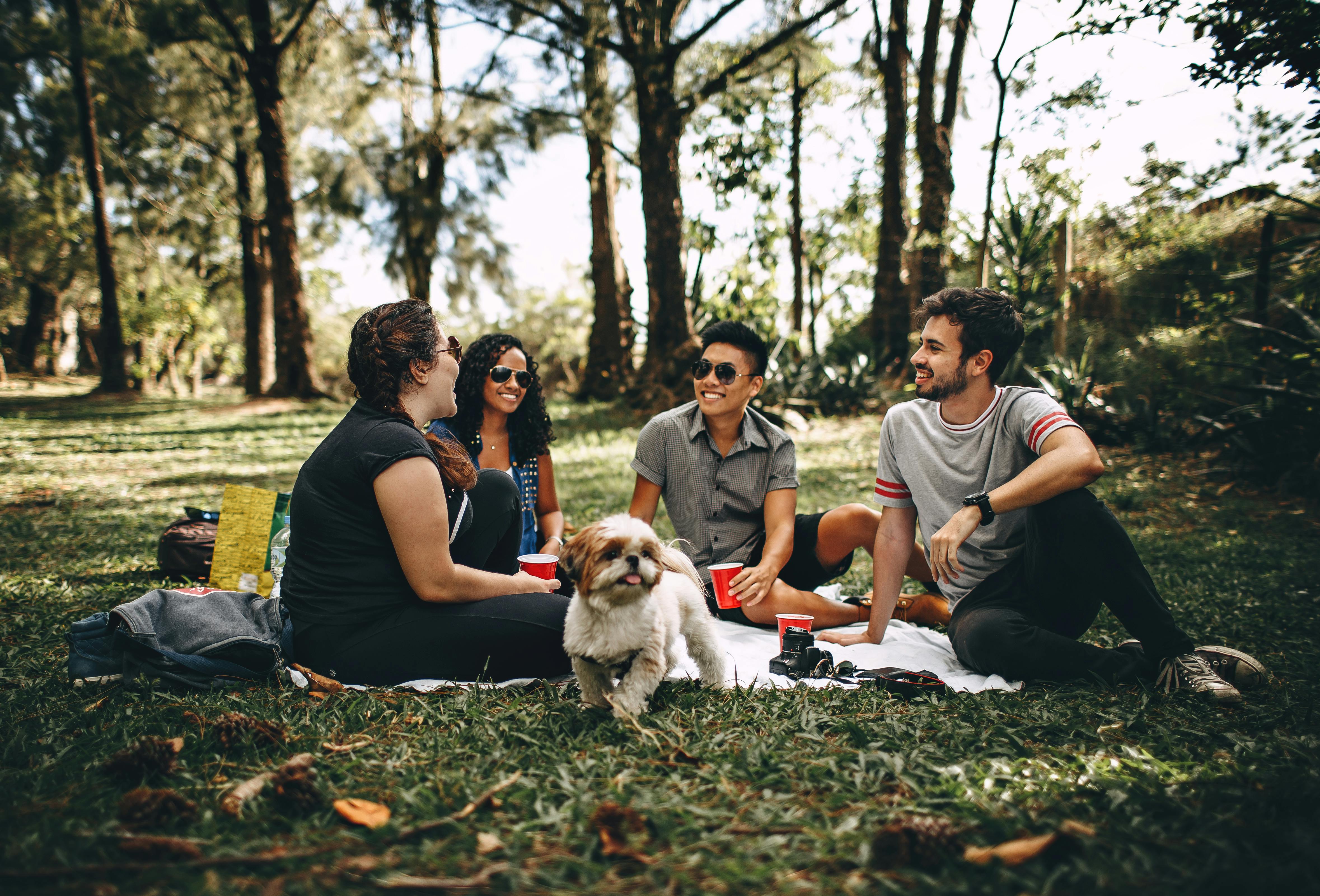 Friends sitting in the grass stock image