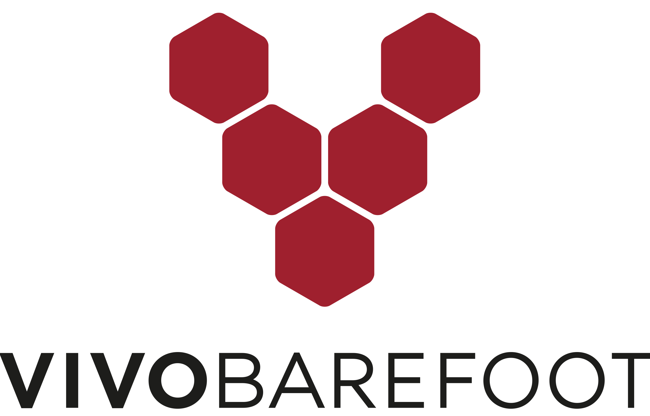Vivobarefoot logo