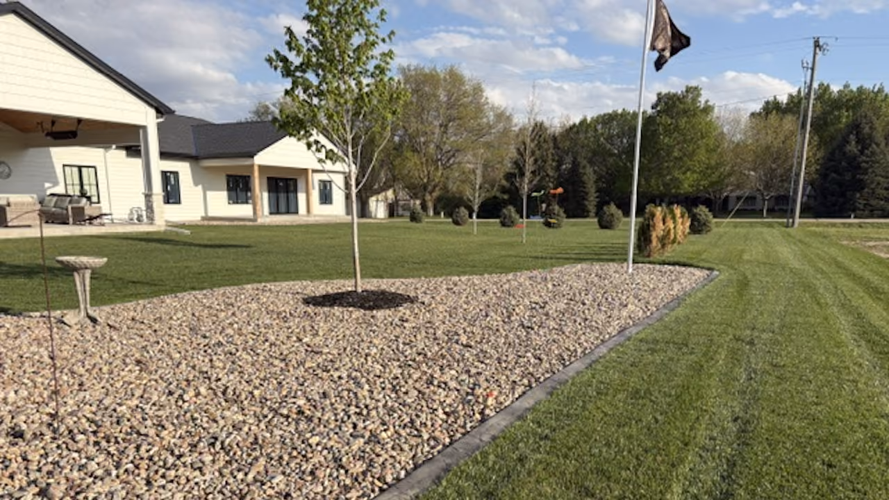 Professional lawn edging and trimming near me