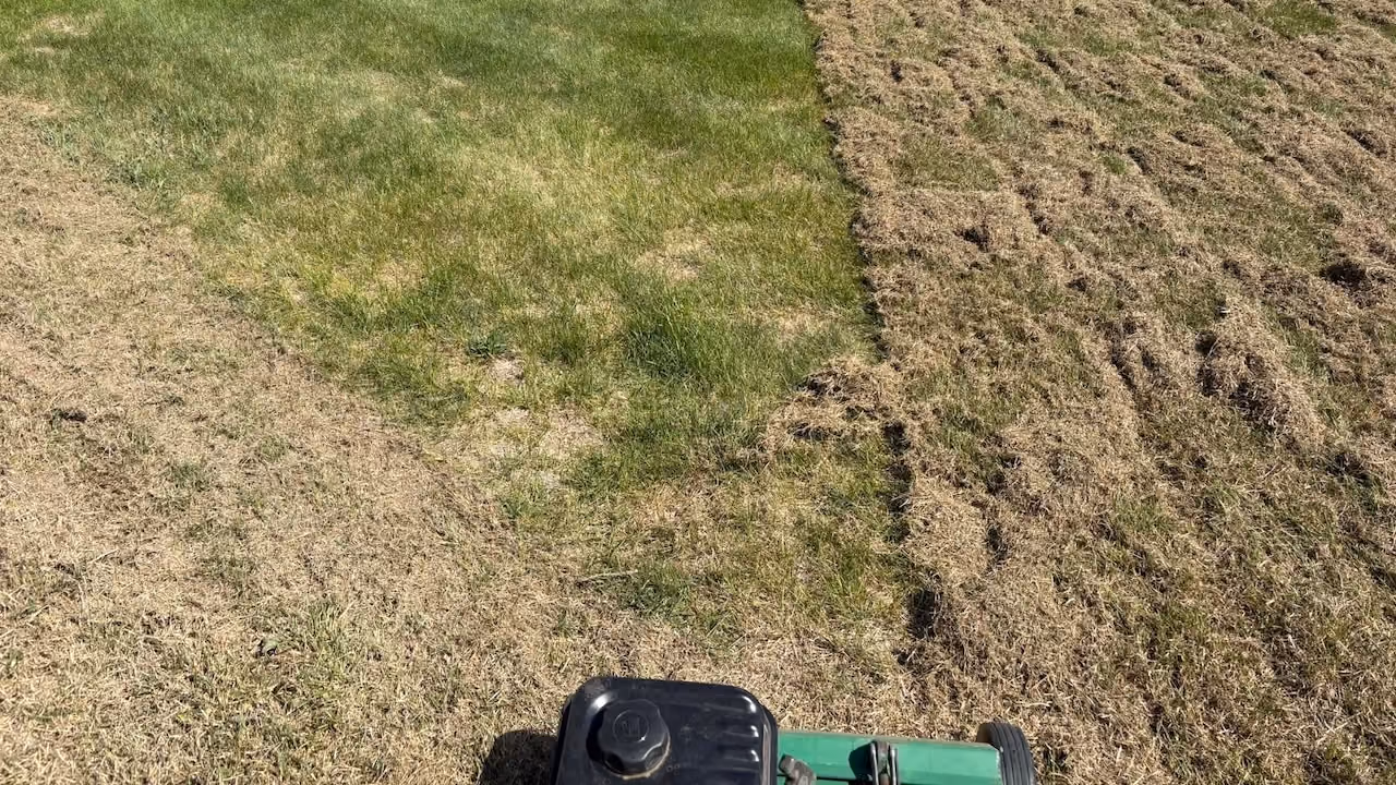 Lawn renovation services for thin and damaged grass