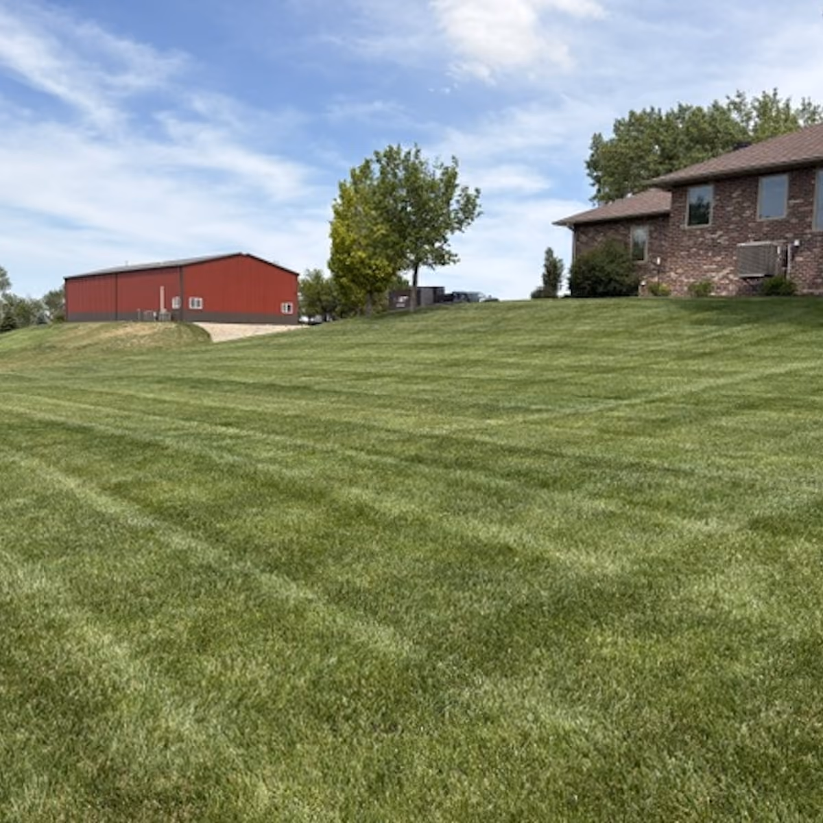 Lawn fertilization for stronger roots and greener turf