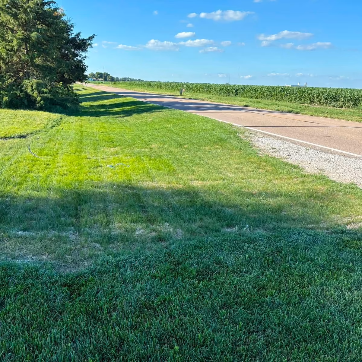 Freshly cut lawn with professional mowing stripes