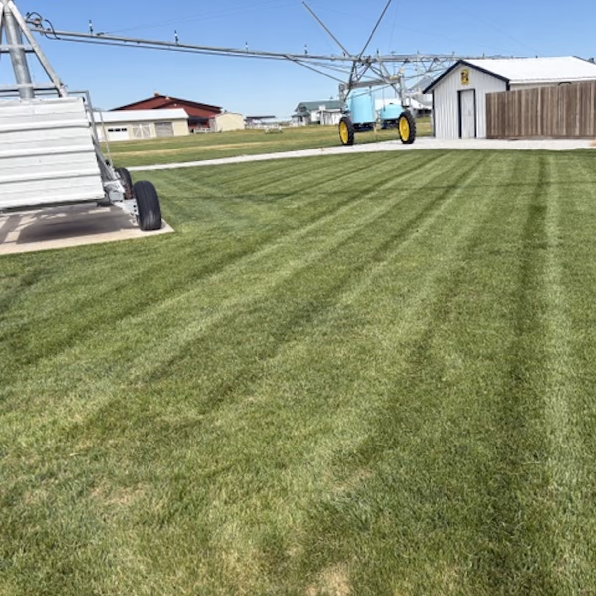 Professional lawn mowing for a healthy green yard