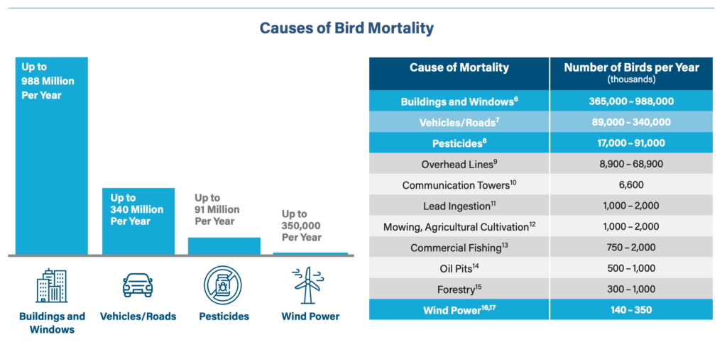 Chart outlining the leading causes of bird mortality showing wind power as a minimal threat compared to buildings and vehicles