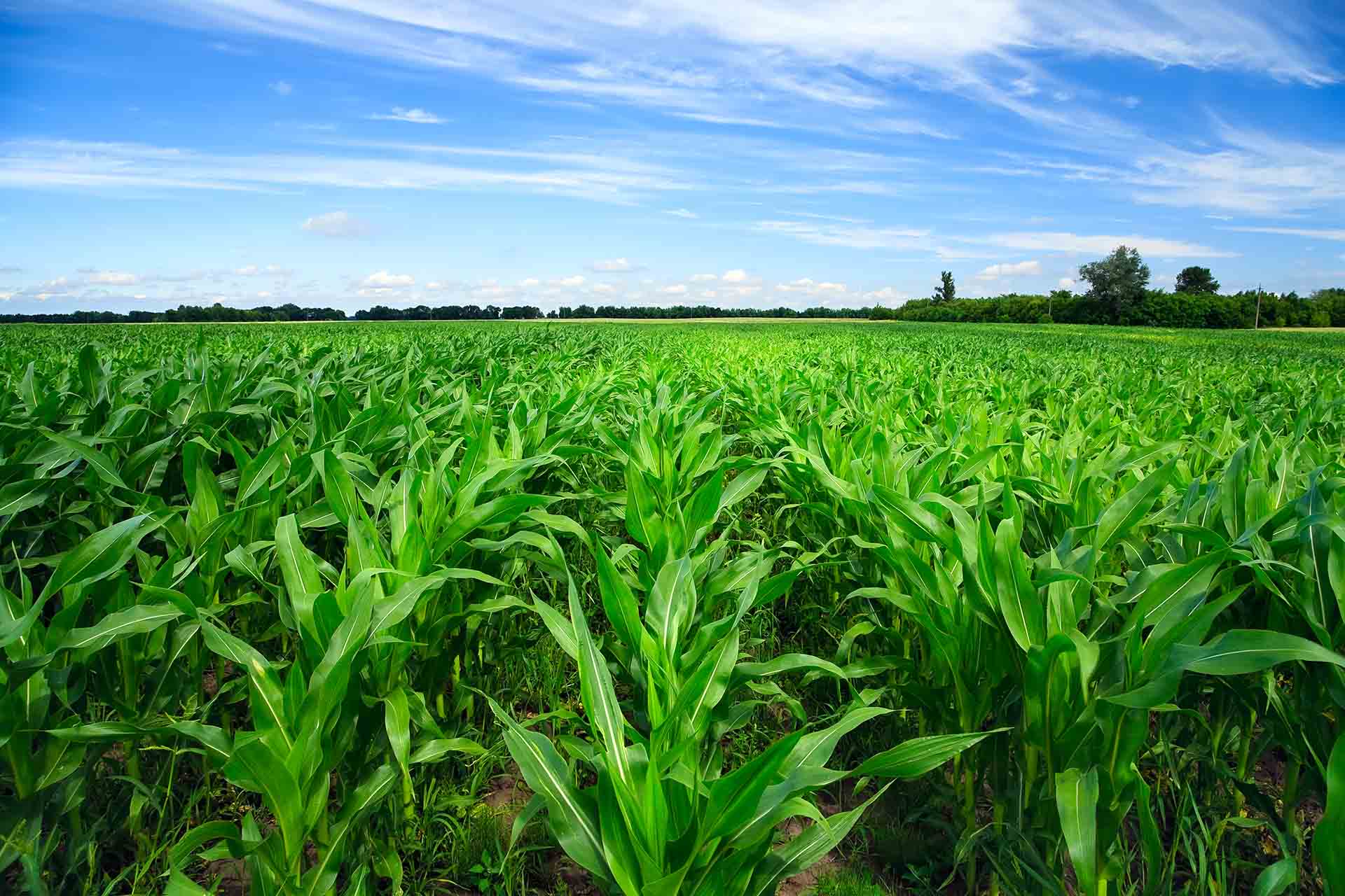 Landowner and community resources
