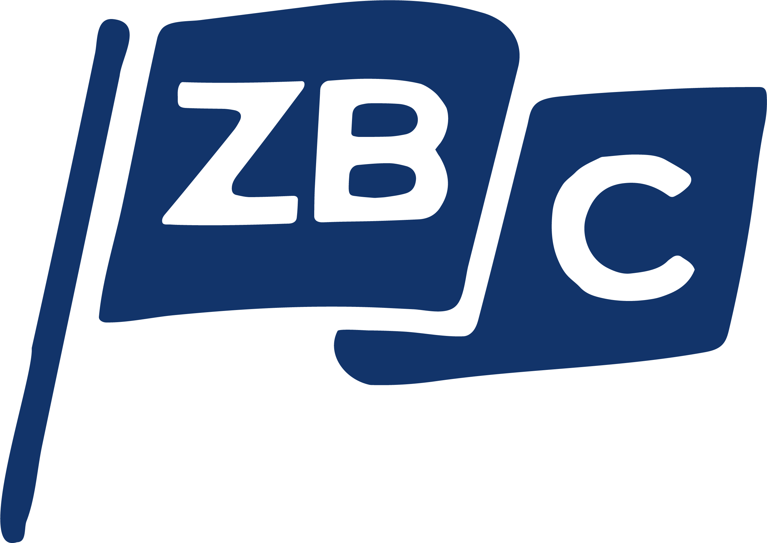 The Zeal Bible Church flag emblem.