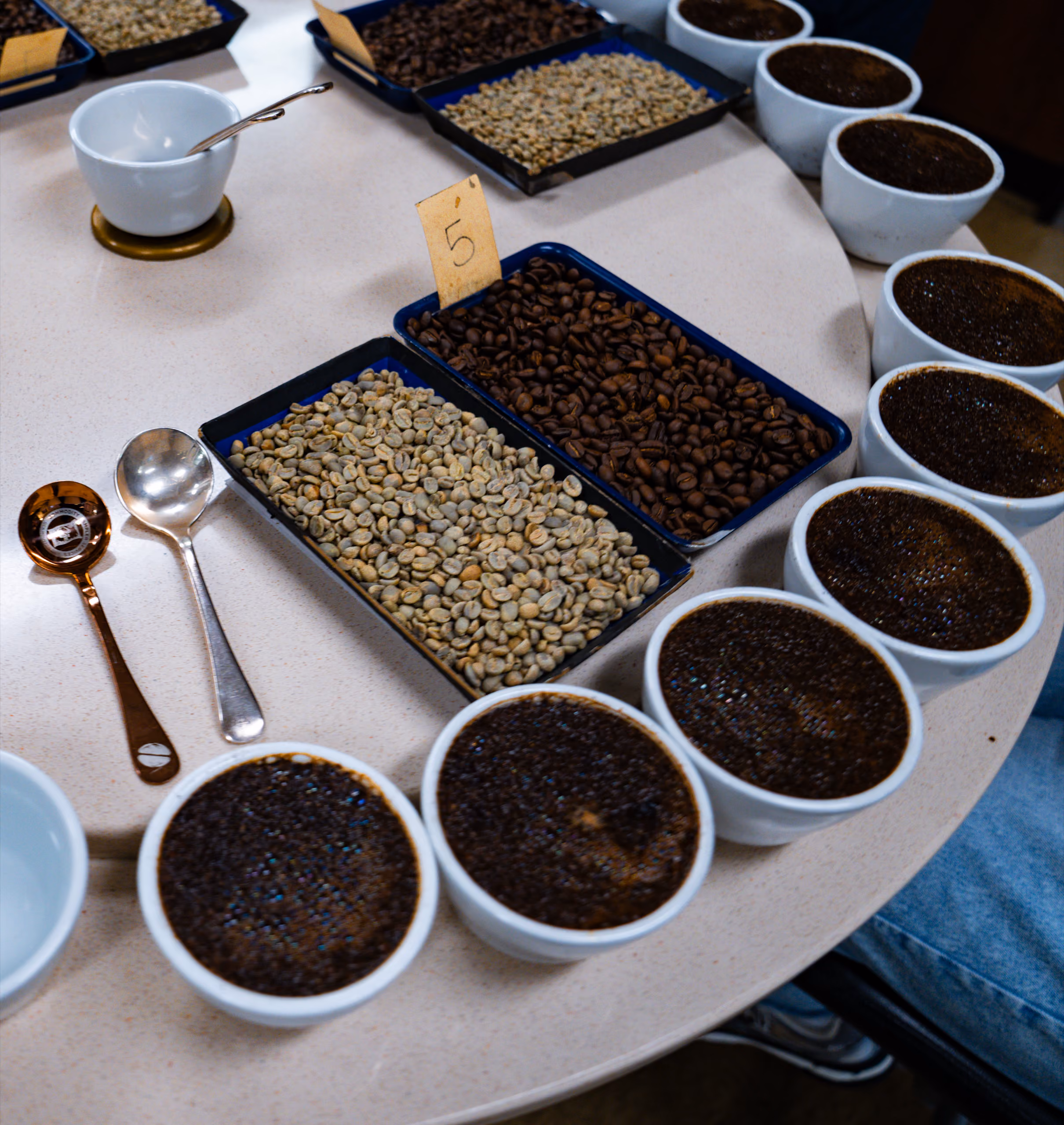Close-up of freshly ground roasted coffee
