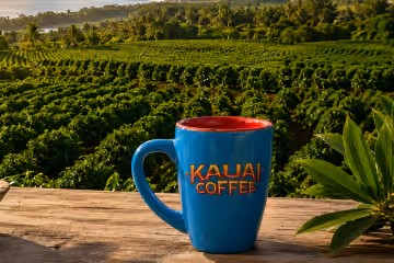 A Kauai Coffee mug overlooking the estate and coastline