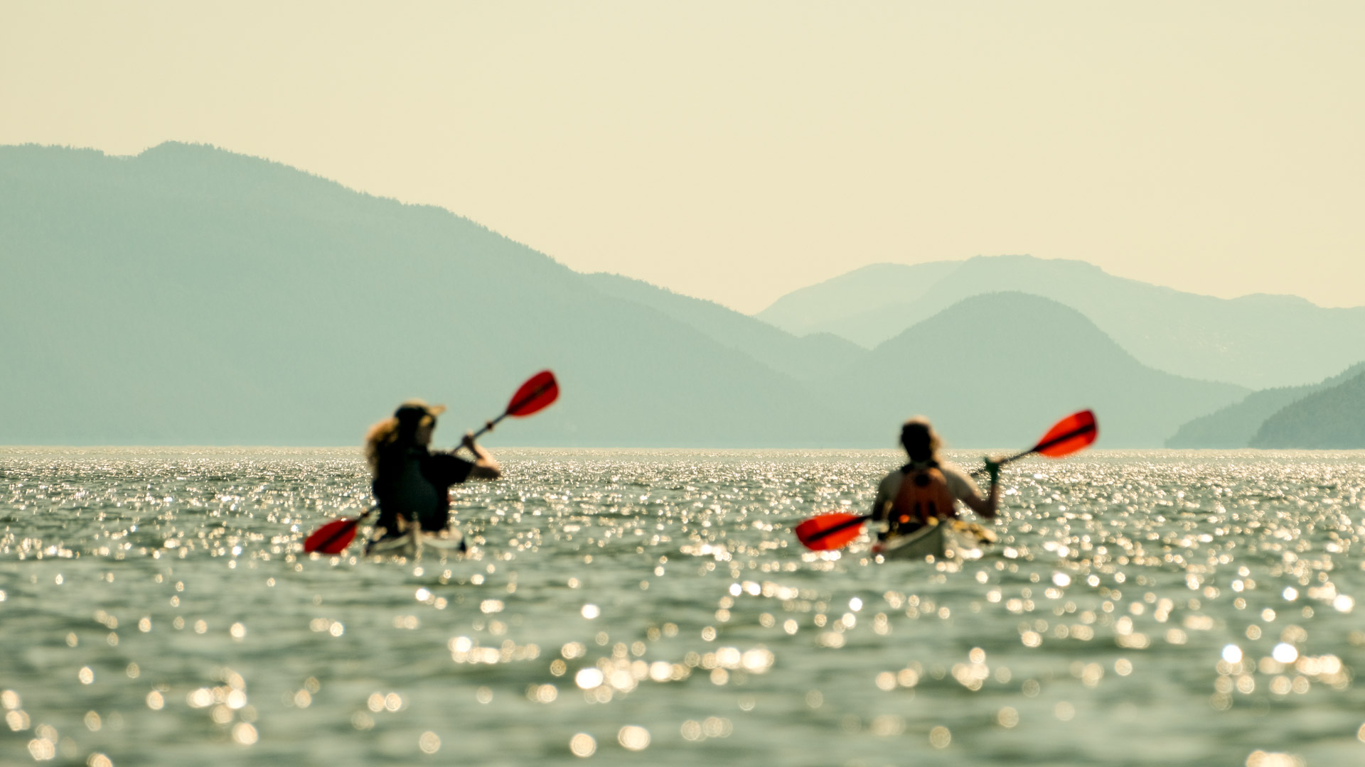 Sea kayakers on a guided Fjord Expeditions tour along the British Columbia coast