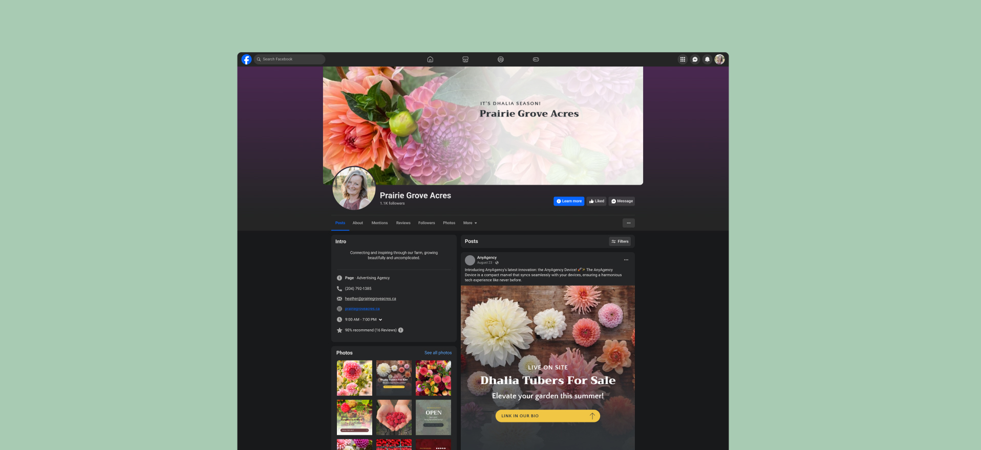 Facebook page design for Prairie Grove Acres