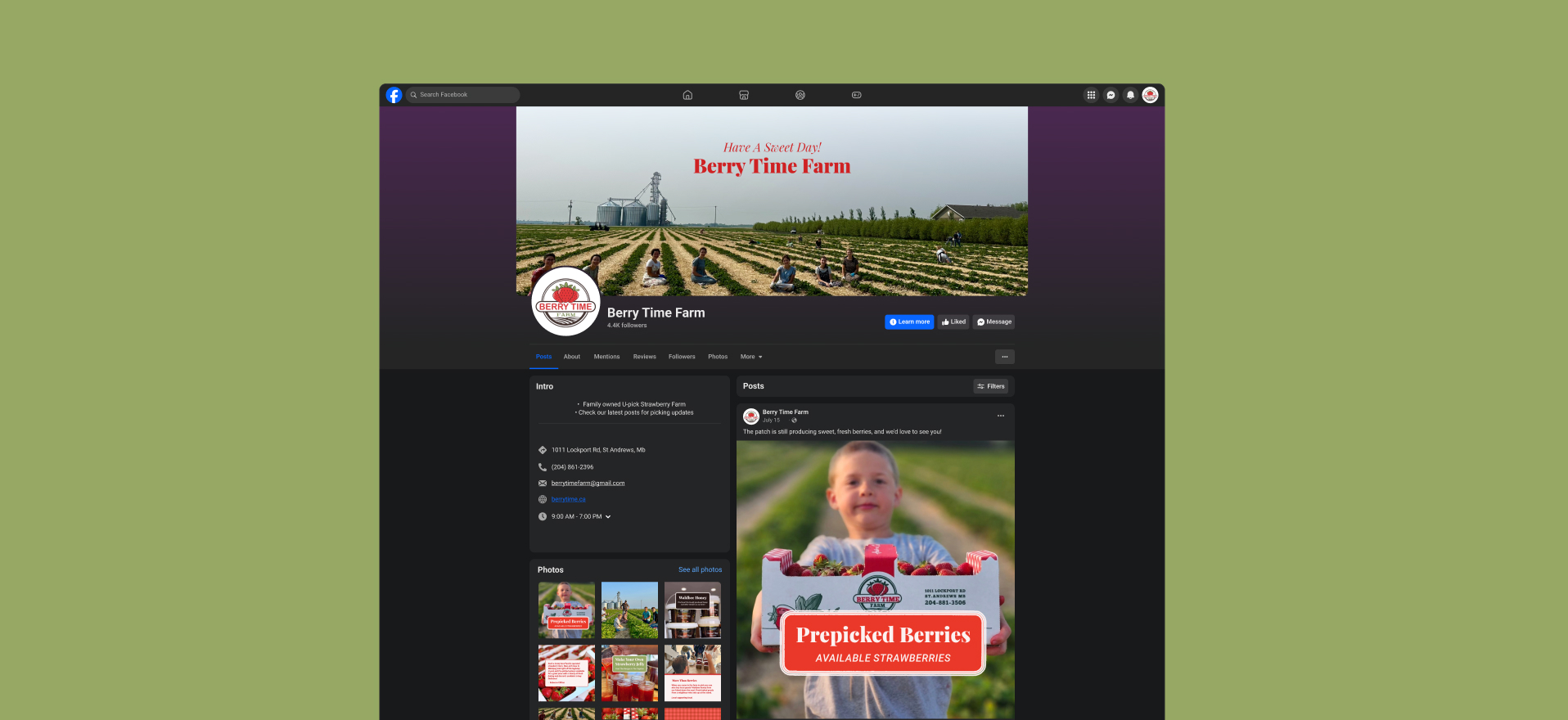 Facebook page design for Berry Time Farm