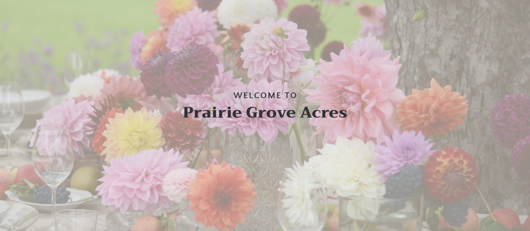 Prairie Grove Acres website welcome section shown on screen