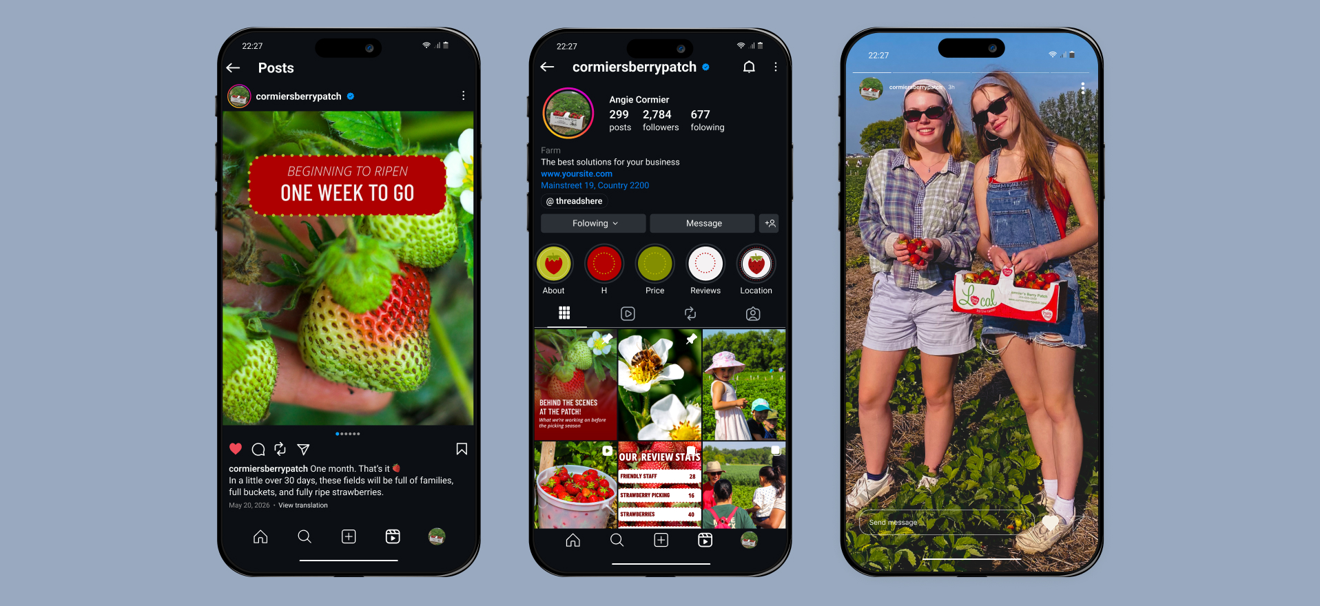 Cormier's Berry Patch Instagram feed showing seasonal u-pick posts