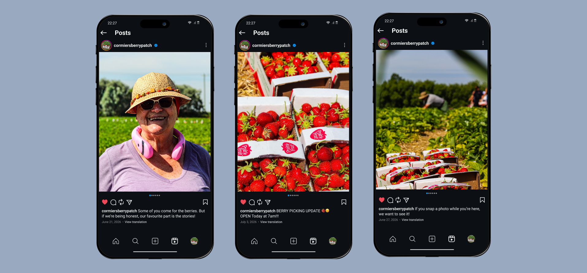A second view of the Cormier's Berry Patch Instagram feed with reels and field photos