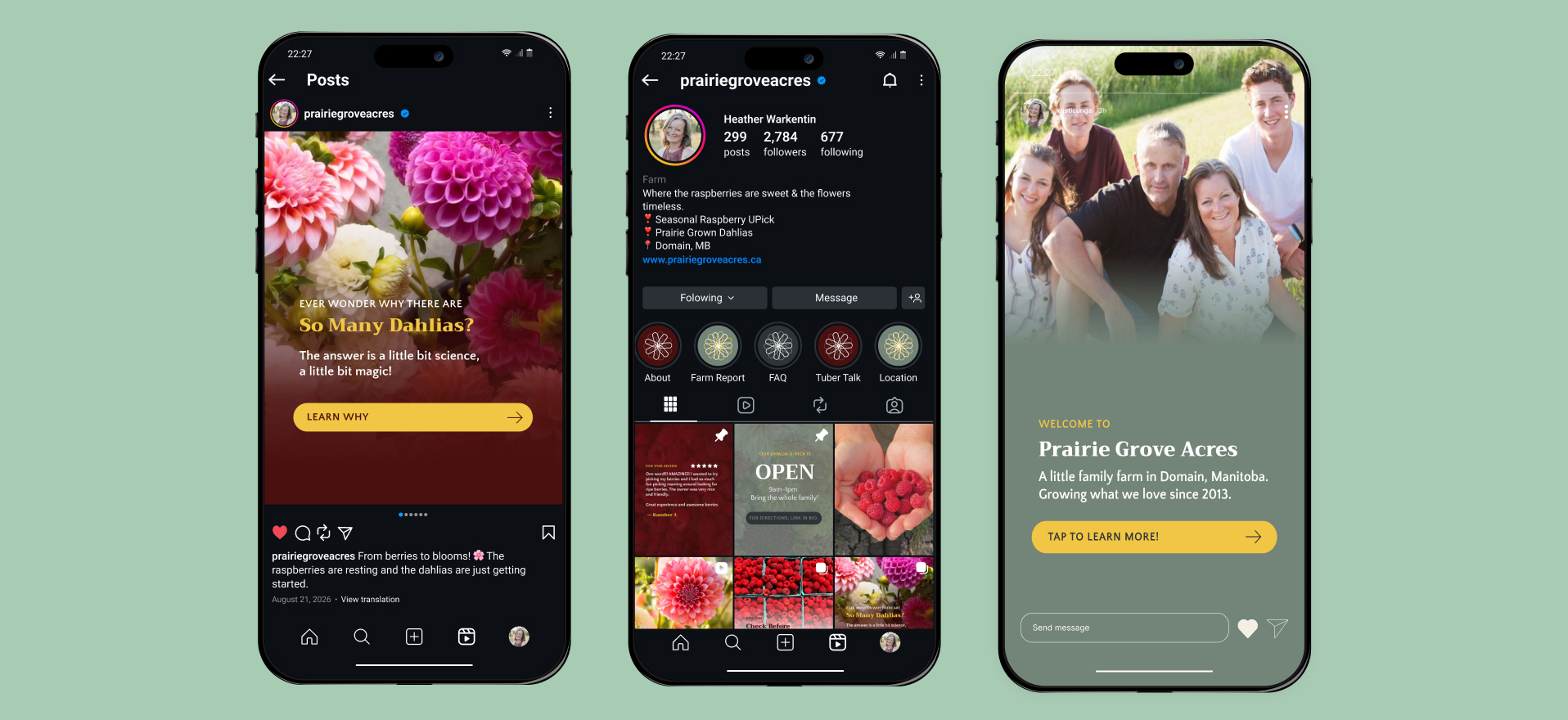 Prairie Grove Acres Instagram feed with flower and u-pick posts