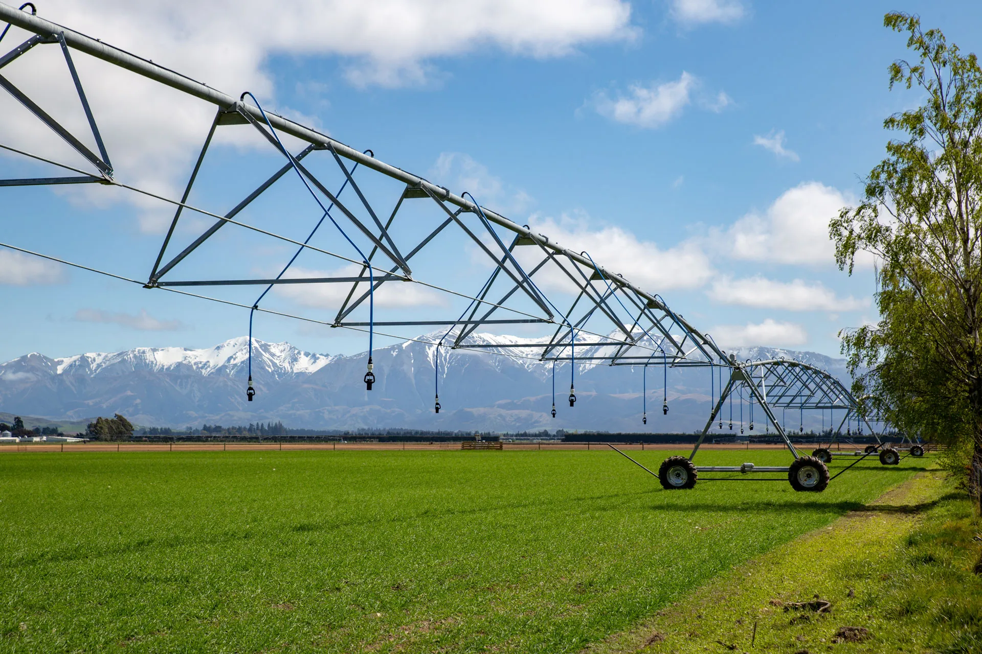 Agriculture and sugar industry