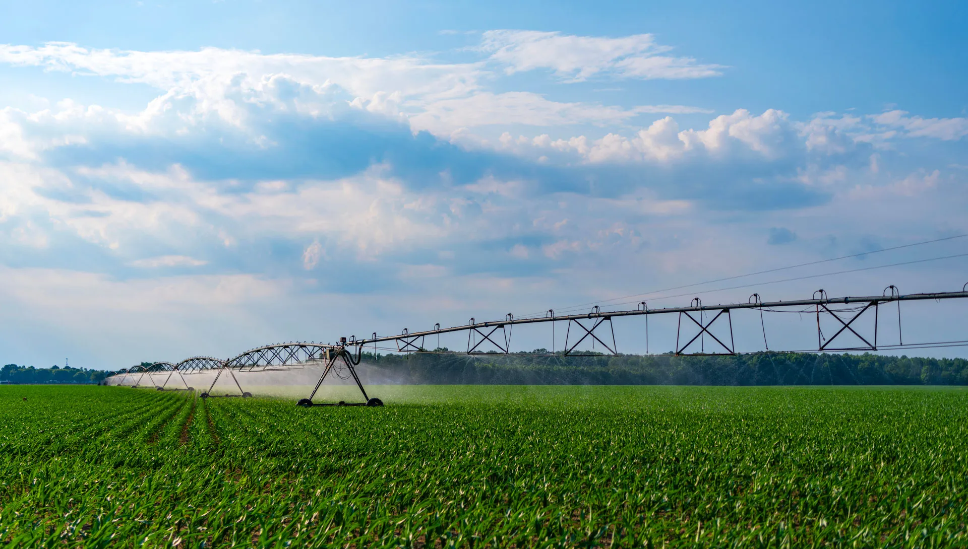Agricultural and sugar industry equipment