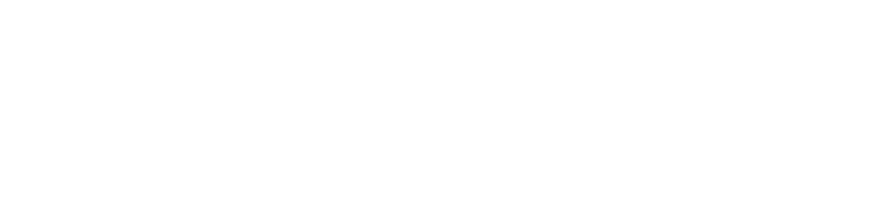 SteelForce