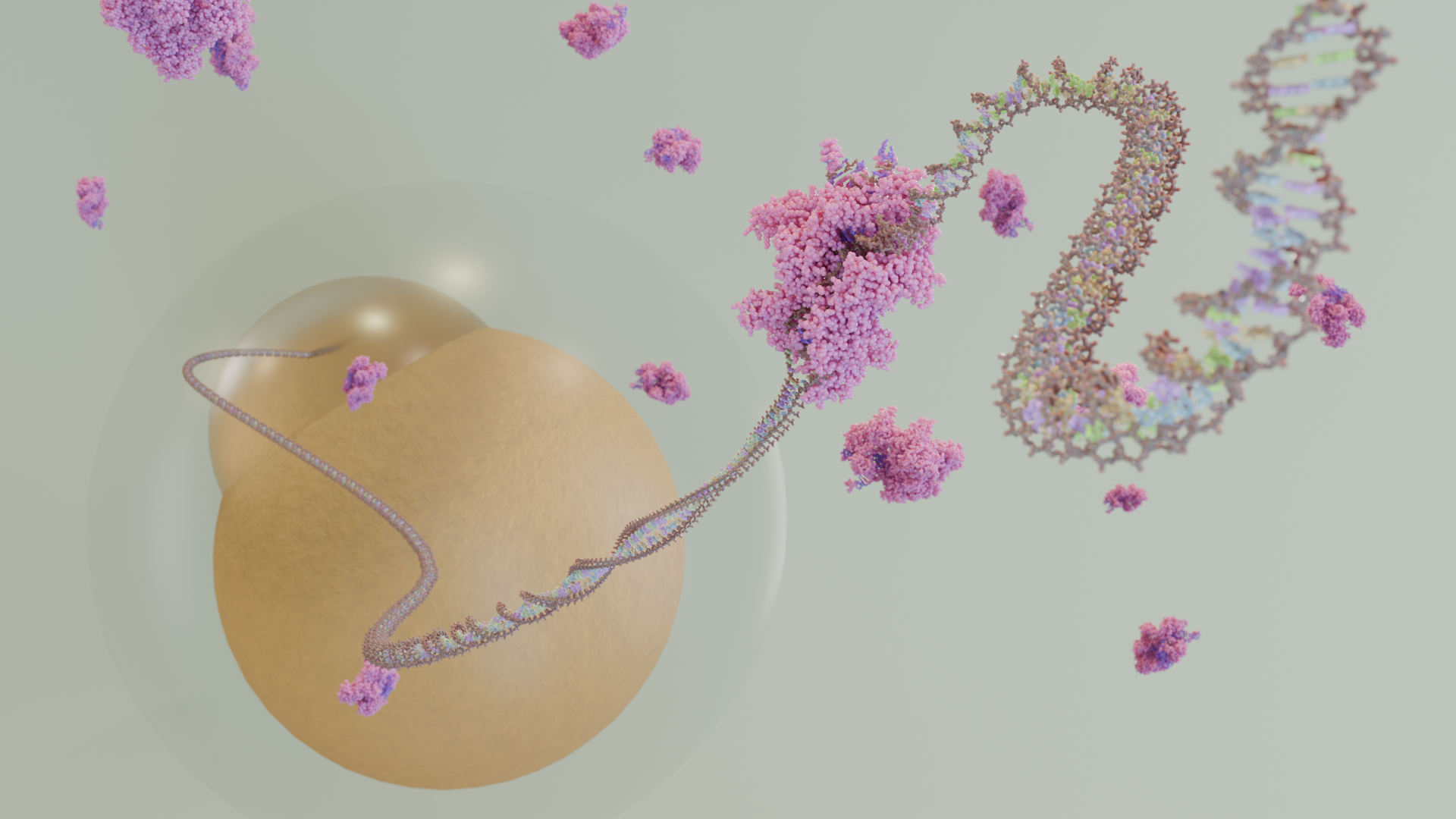 Stylistic rendering of DNA from a zebrafish embryo undergoing Cas9 mutagenesis.
