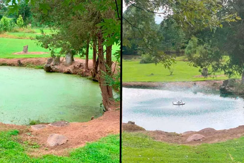 Community pond restoration, before and after