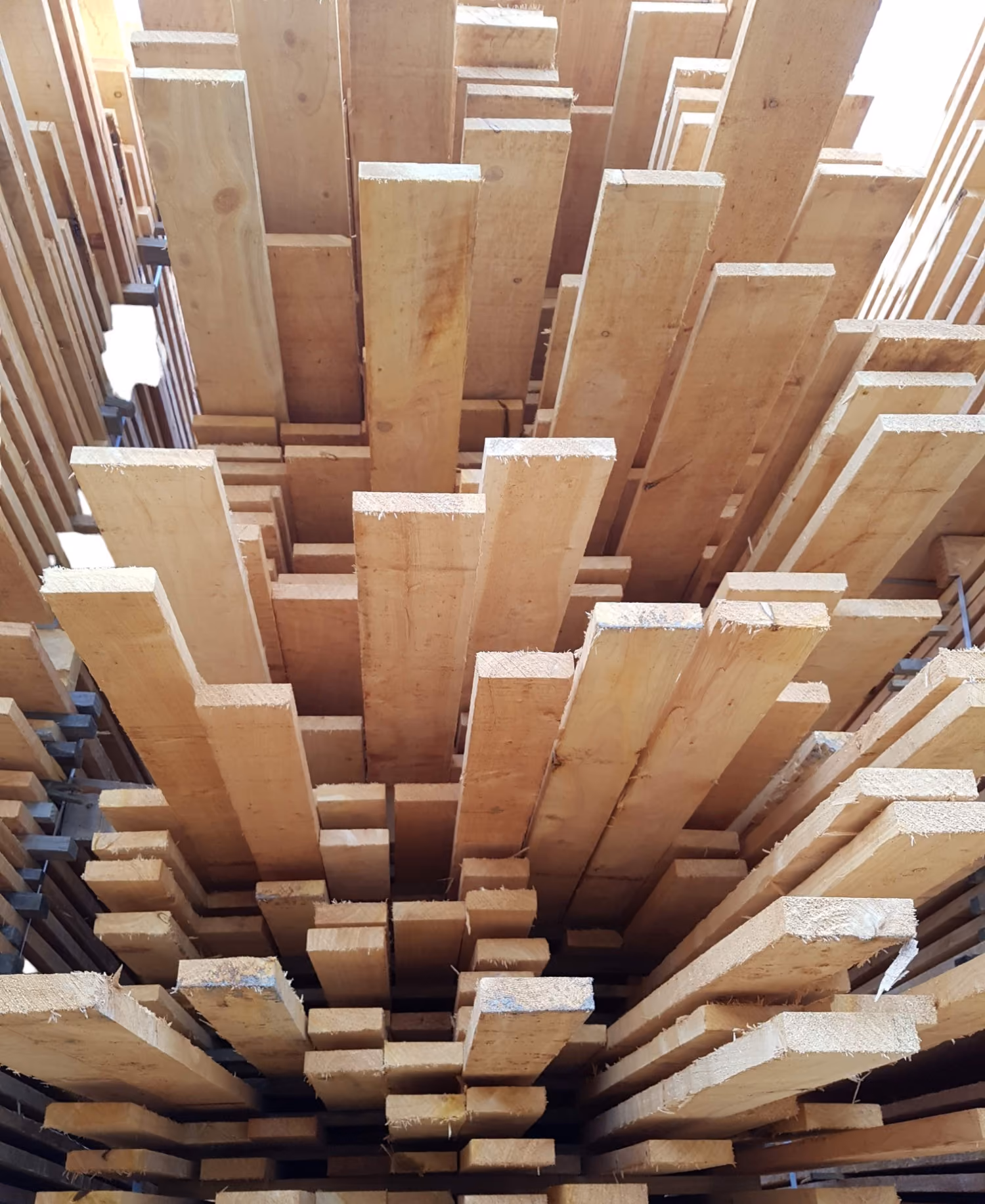 Macrocarpa Sawn and Dressed Timber