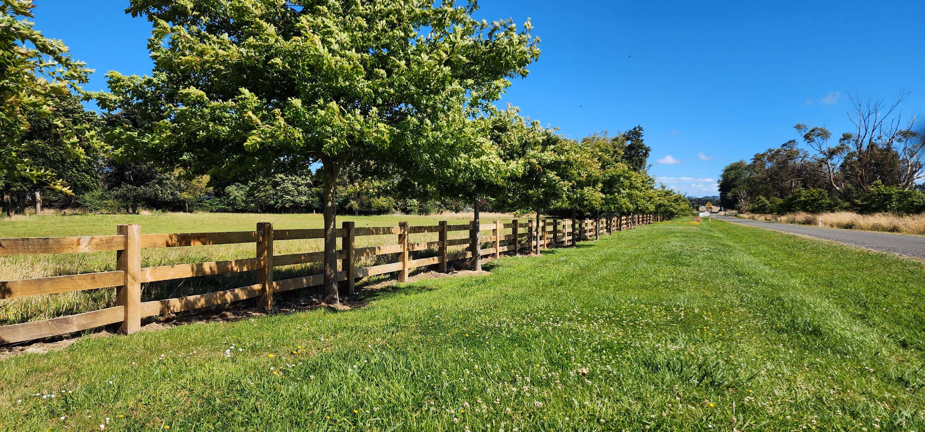 Macrocarpa post and rail fence along a tree-lined paddock