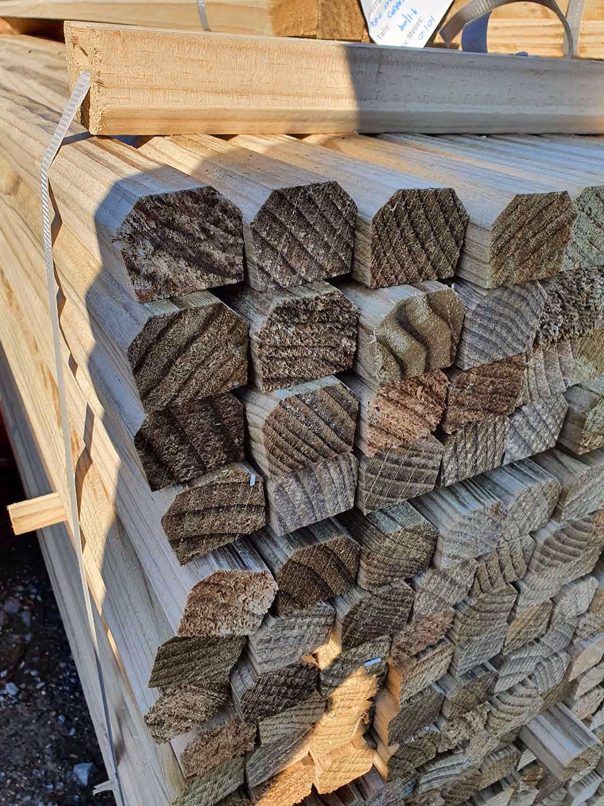 Sheep Grating